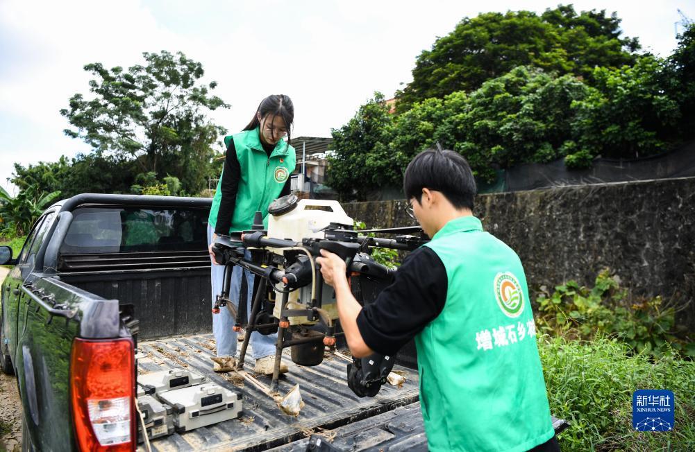 法国啄木鸟无限赌场下载下载